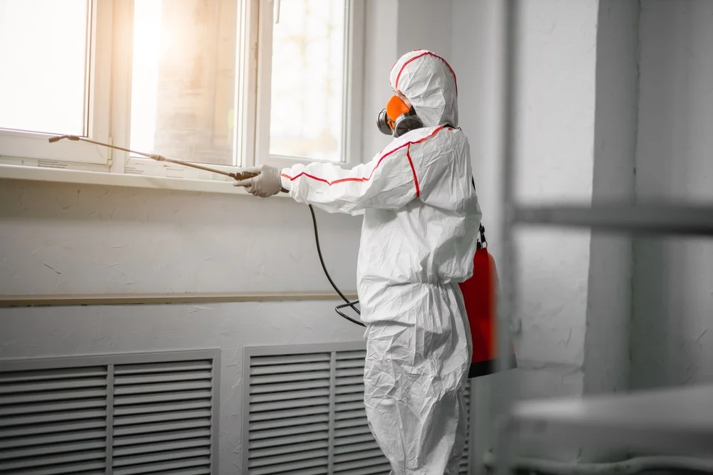 Professional mold remediation services in Rio Frio, TX